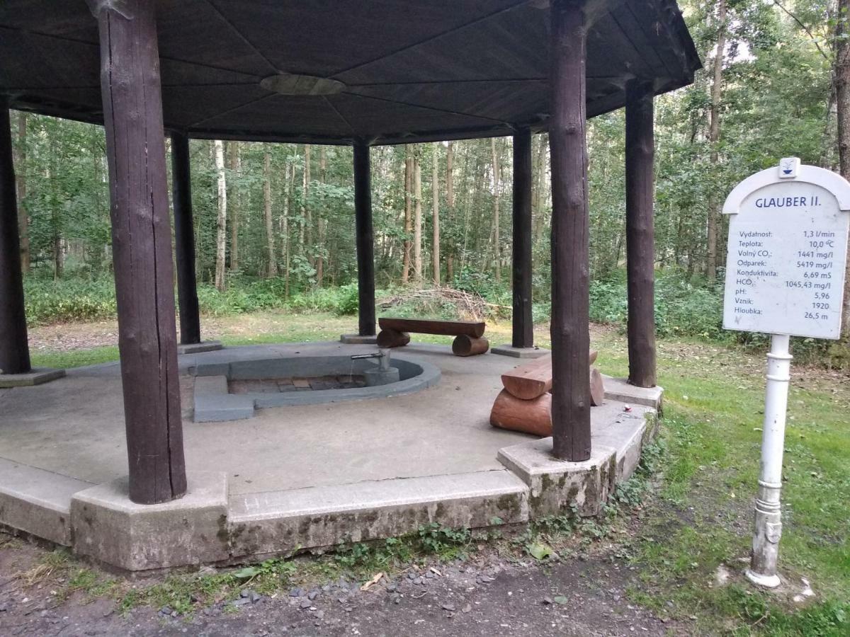 Františkovy Lázně Apartments Ceska المظهر الخارجي الصورة