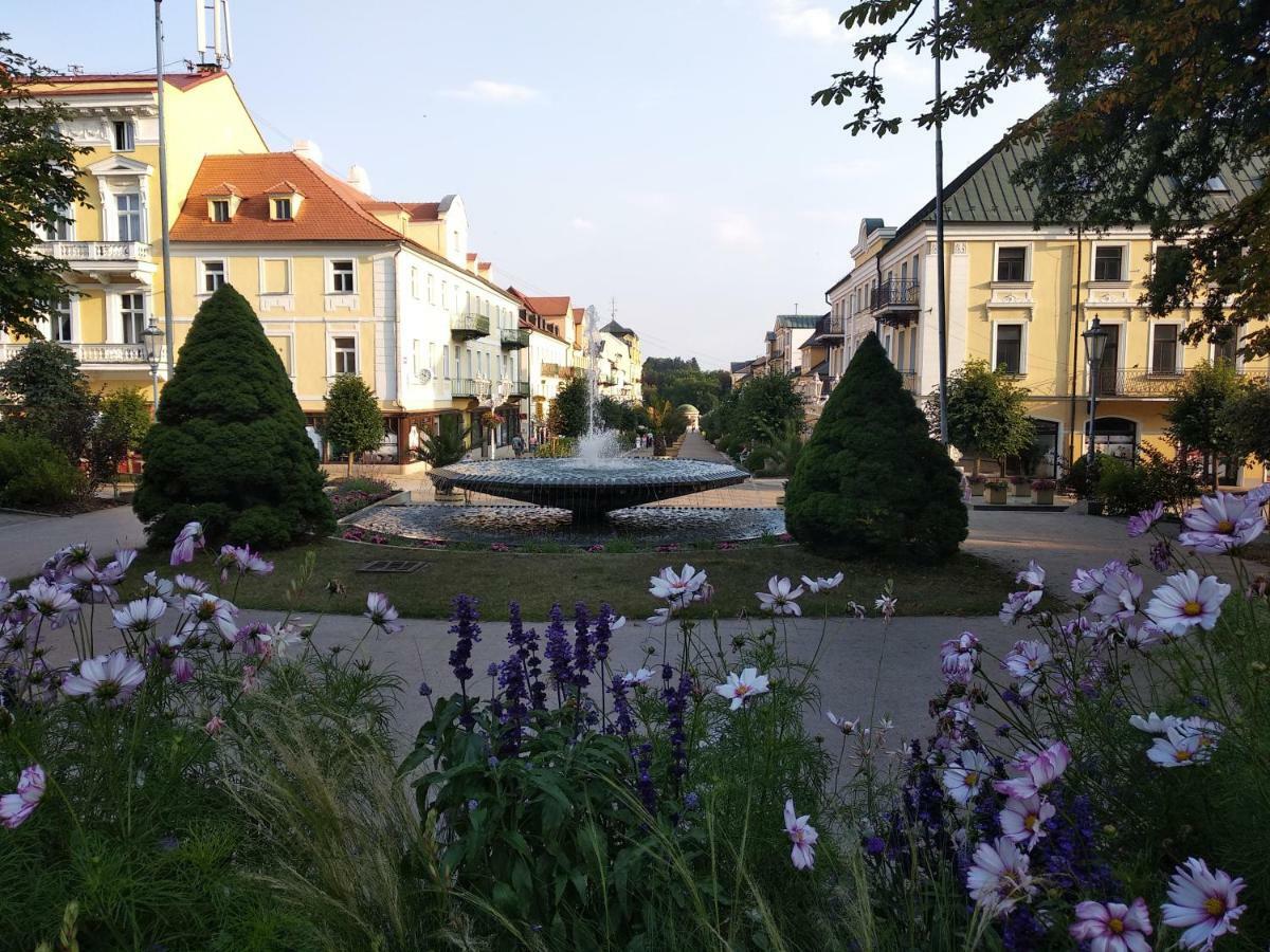Františkovy Lázně Apartments Ceska المظهر الخارجي الصورة